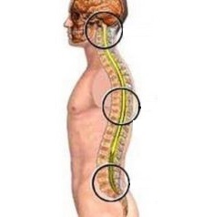 mugurkaula jostas daļas osteohondrozes būtība